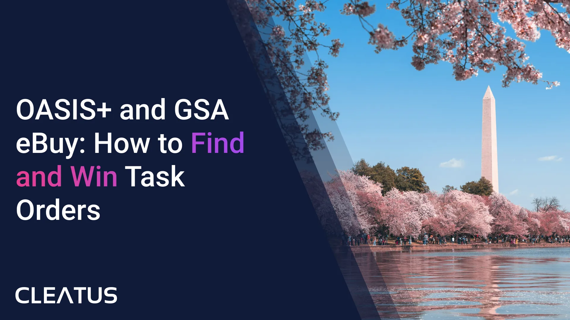 OASIS+ and GSA eBuy: How to Find and Win Task Orders on the Government's $60B+ Professional Services Vehicle