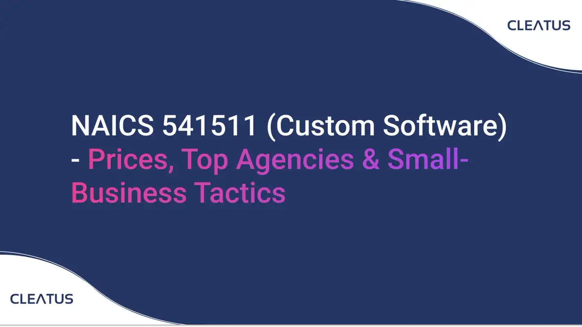 NAICS 541511 (Custom Software) - Prices, Top Agencies & Small-Business Tactics